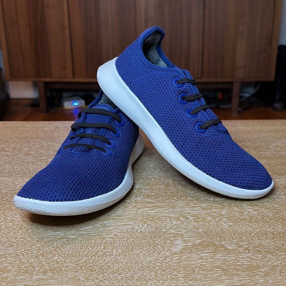 Allbirds‎ Treerunners
